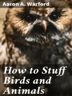 How to Stuff Birds and Animals: A valuable book giving instruction in collecting, preparing, mounting, and preserving birds, animals, and insects