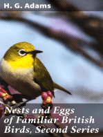 Nests and Eggs of Familiar British Birds, Second Series: Described and Illustrated; with an Account of the Haunts and Habits of the Feathered Architects, and their Times and Modes of Building