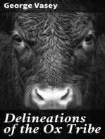 Delineations of the Ox Tribe: The Natural History of Bulls, Bisons, and Buffaloes. Exhibiting all the Known Species and the More Remarkable Varieties of the Genus Bos