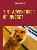 The Adventures of Nugget: A Hamster Story