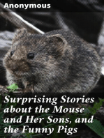 Surprising Stories about the Mouse and Her Sons, and the Funny Pigs: With Laughable Colored Engravings