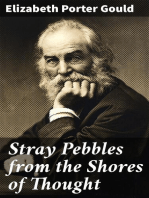 Stray Pebbles from the Shores of Thought