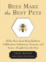 Bees Make the Best Pets