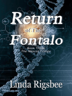 Return of the Fontalo