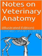 Notes on Veterinary Anatomy: (Illustrated Edition)