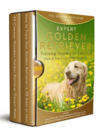 Golden Retriever: Expert Golden Retriever Training Strategies and Tips, Even If You Are a Complete Novice