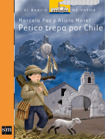 Perico trepa por Chile