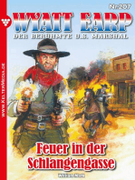 Feuer in der Schlangengasse: Wyatt Earp 207 – Western