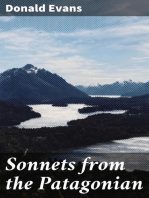 Sonnets from the Patagonian