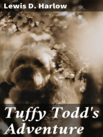 Tuffy Todd's Adventure: A True Story