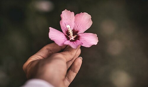 from-refugee-to-revival-a-journey-of-resilience-abundance-5