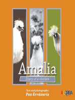 Amalia Diary of a chicken