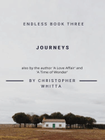 Journeys: Endless, #3