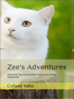 Zee's Adventures