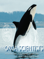 The Orca Scientists