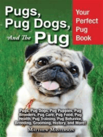 Pugs, Pug Dogs, and The Pug