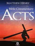 Acts - Bible Commentary