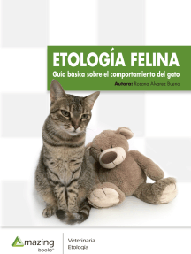 Etología felina: Guía básica sobre el comportamiento del gato