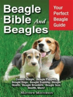 Beagle Bible and Beagles: Your Perfect Beagle Guide Beagle, Beagles, Beagle Puppies, Beagle Dogs, Beagle Breeders, Beagle Care, Beagle Training, Beagle Health, Beagle Behavior, Grooming, Breeding, History and More!