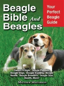 beagle grooming