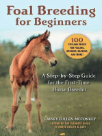 Foal Breeding for Beginners: A Step-by-Step Guide for the First-Time Horse Breeder