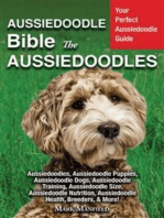 Aussiedoodle Bible and Aussiedoodles: Aussiedoodles, Aussiedoodle Puppies, Aussiedoodle Dogs, Aussiedoodle Training, Aussiedoodle Size, Aussiedoodle Nutrition, Aussiedoodle Health, Breeders, & More!