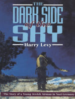 The Dark Side of the Sky: The Story of a Young Jewish Airman in Nazi Germany