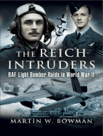 The Reich Intruders: RAF Light Bomber Raids in World War II