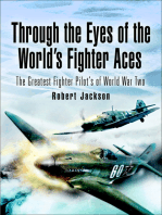 Through the Eyes of the World's Fighter Aces