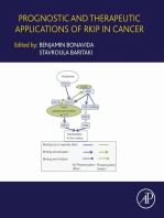 Prognostic and Therapeutic Applications of RKIP in Cancer