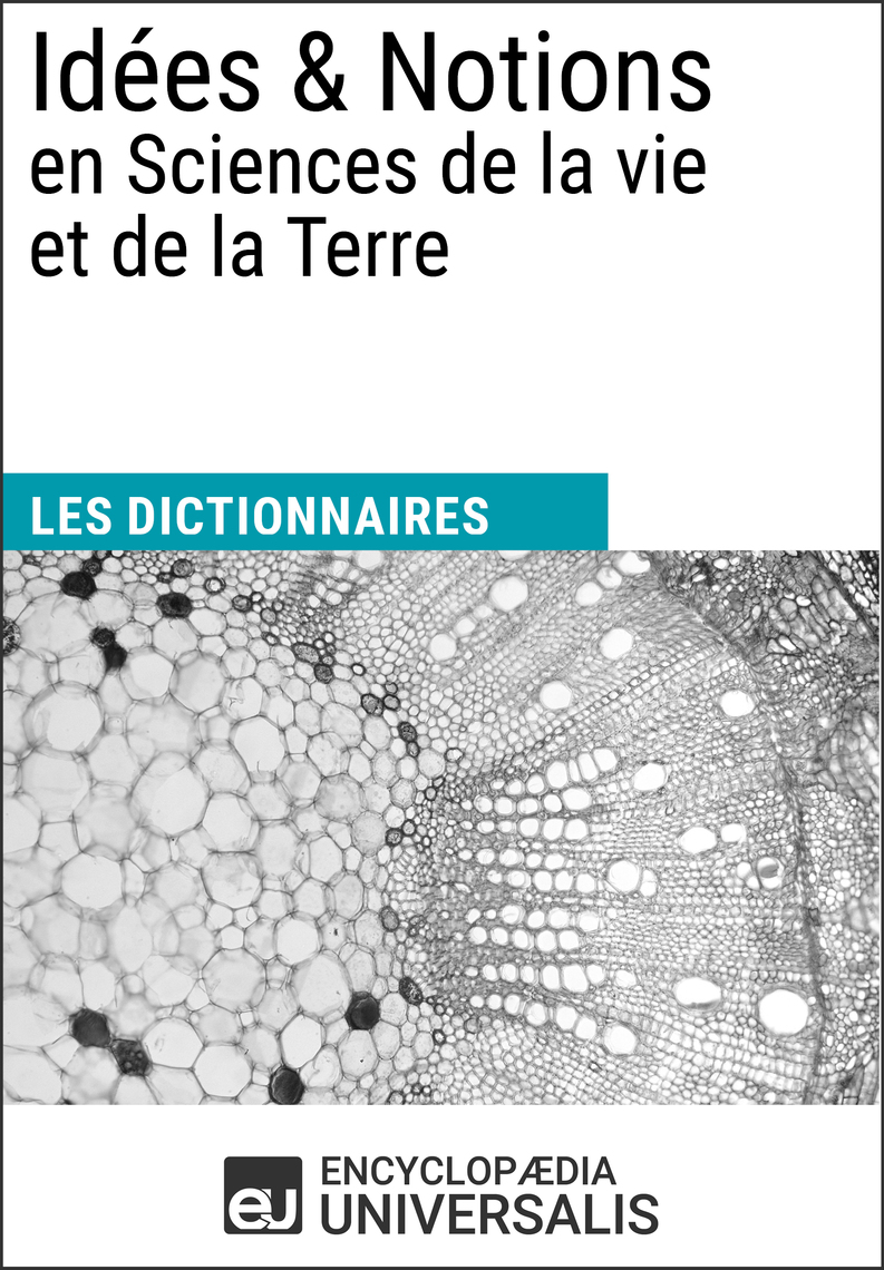 Dictionnaire Des Idées Suggérées Par Les Mots En Ligne