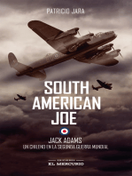 South American Joe