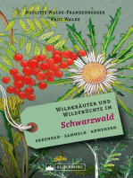 Wildkräuter und Wildfrüchte im Schwarzwald: Erkennen, sammeln, anwenden