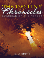 The Destiny Chronicles: Guardian of the Forest