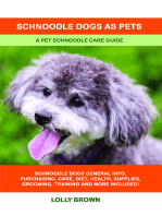 Schnoodle Dogs as Pets. A Pet Schnoodle Care Guide
