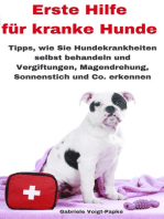 Erste Hilfe für kranke Hunde: Tipps, wie Sie Hundekrankheiten selbst behandeln und Vergiftungen, Magendrehung, Sonnenstich und Co. erkennen