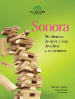 Sonora: Problemas de ayer y hoy, desafíos y soluciones