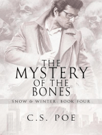 The Mystery of the Bones: Snow & Winter, #4