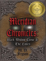 Meridian Chronicles