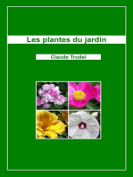 Les plantes du jardin