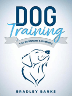 Dog Training for Beginners & Dummies