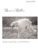 Barsoi in Bildern: Russkaja psowaja borsaja, russischer Windhund