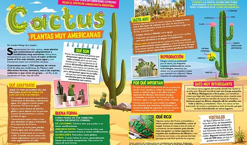 Cactus, Cactus Saguaro, descarga instantánea, libro de trabajo STEM,  descarga digital, libro de trabajo para niños, STEM -  México