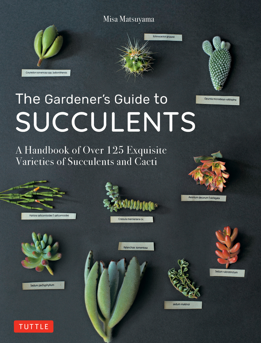 Gardener's Guide to Succulents by Misa Matsuyama (Ebook) - Read free ...