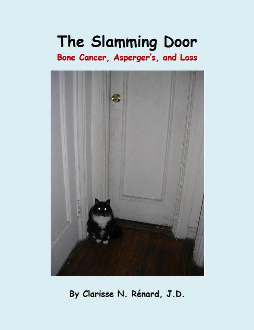 The Slamming Door Bone Cancer, Aspergers, and Loss by Clarisse N