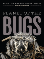 Planet of the Bugs: Evolution and the Rise of Insects