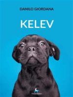 Kelev