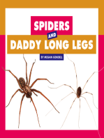 Spiders and Daddy Long Legs