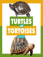 Turtles and Tortoises