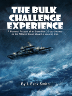 The Bulk Challenge Experience: “A Personal Account of an Incredible 10-day Journey on the Atlantic Ocean aboard a Leaking Ship”